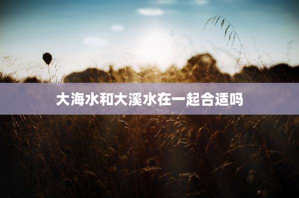大海水和大溪水在一起合适吗