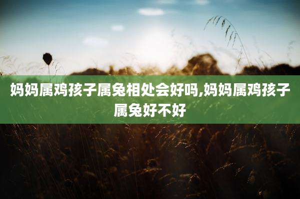 妈妈属鸡孩子属兔相处会好吗,妈妈属鸡孩子属兔好不好