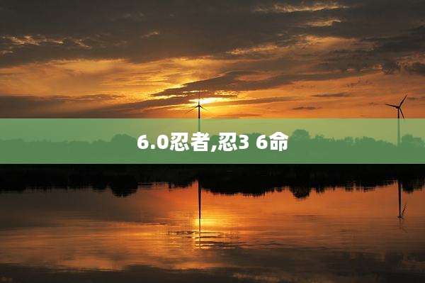 6.0忍者,忍3 6命