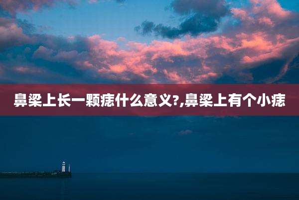 鼻梁上长一颗痣什么意义?,鼻梁上有个小痣