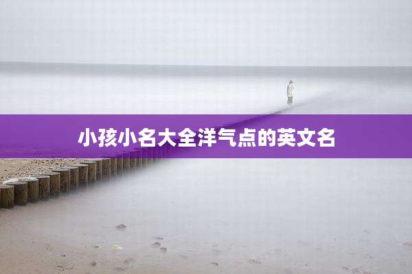 小孩小名大全洋气点的英文名