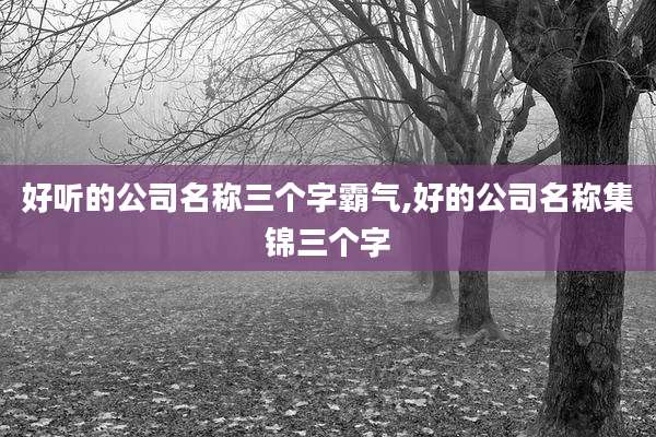 好听的公司名称三个字霸气,好的公司名称集锦三个字