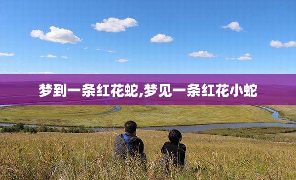 梦到一条红花蛇,梦见一条红花小蛇