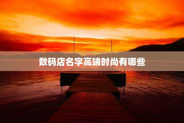数码店名字高端时尚有哪些