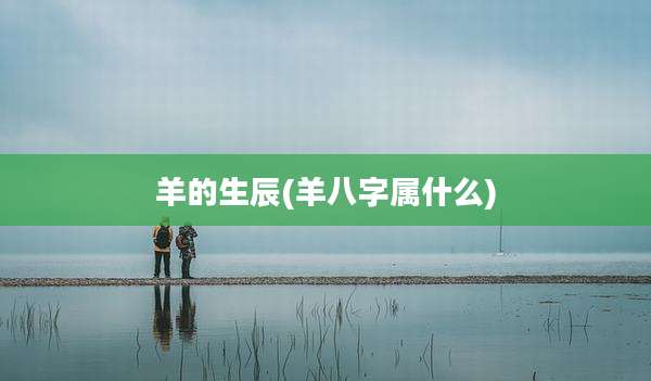 羊的生辰(羊八字属什么)