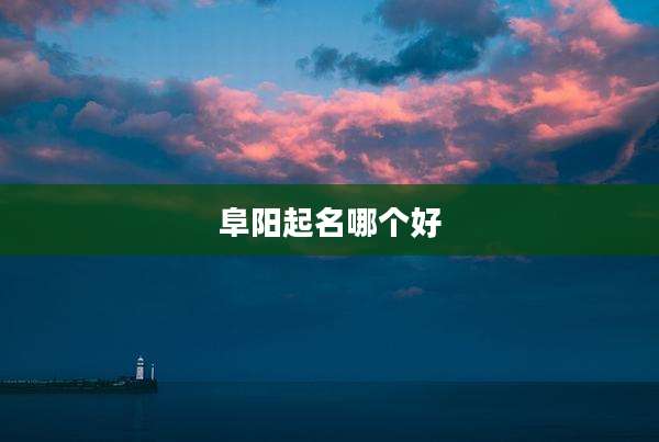 阜阳起名哪个好
