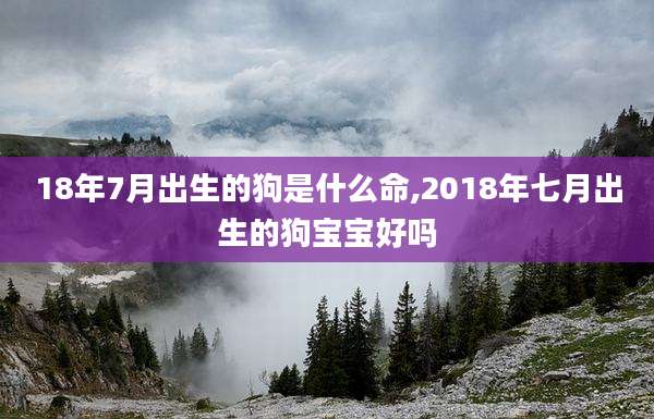 18年7月出生的狗是什么命,2018年七月出生的狗宝宝好吗