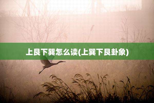 上艮下巽怎么读(上巽下艮卦象)