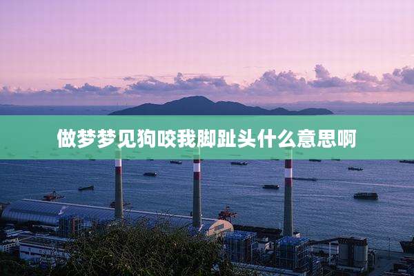 做梦梦见狗咬我脚趾头什么意思啊