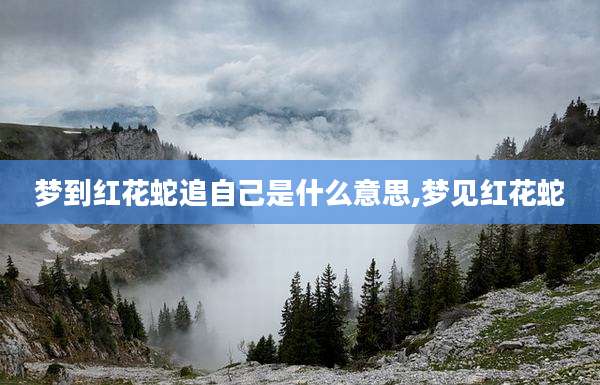 梦到红花蛇追自己是什么意思,梦见红花蛇