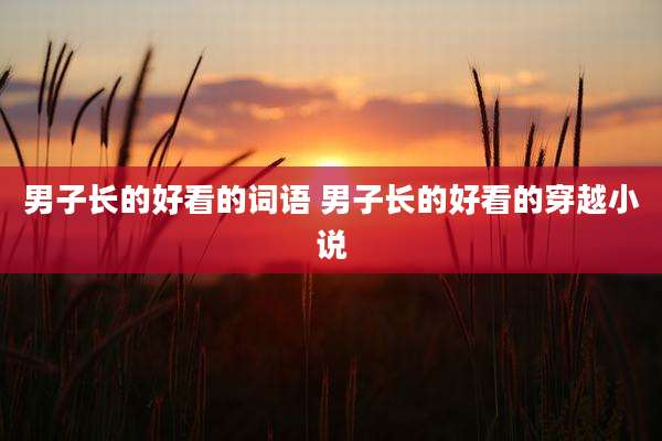 男子长的好看的词语 男子长的好看的穿越小说