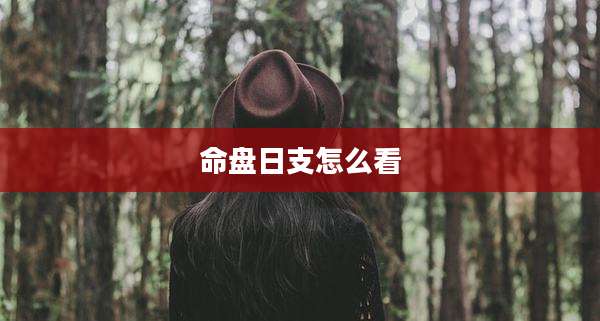 命盘日支怎么看