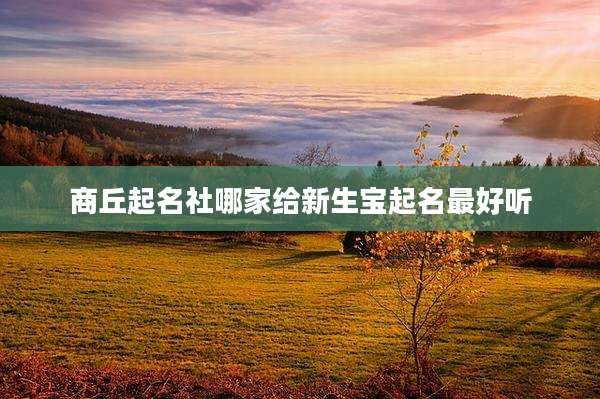 商丘起名社哪家给新生宝起名最好听