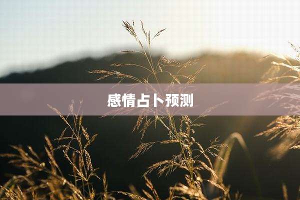 感情占卜预测