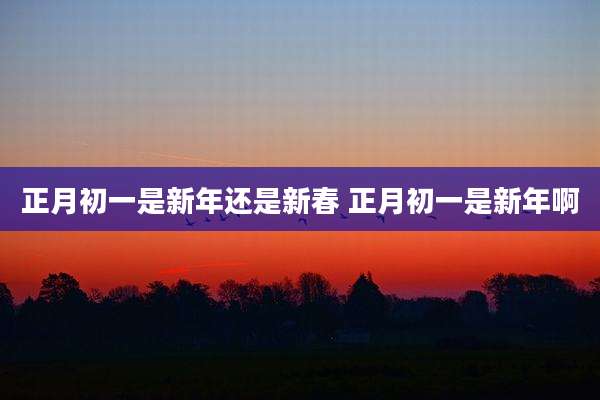 正月初一是新年还是新春 正月初一是新年啊