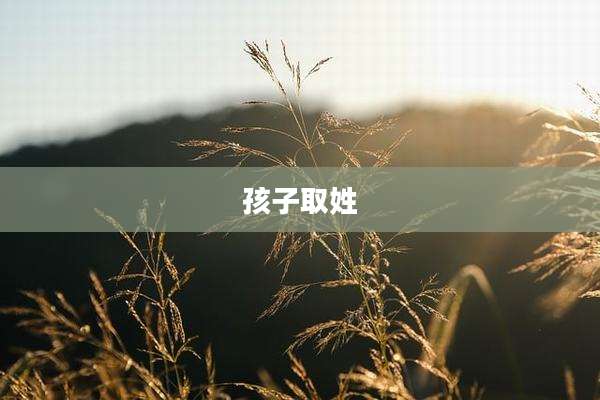 孩子取姓