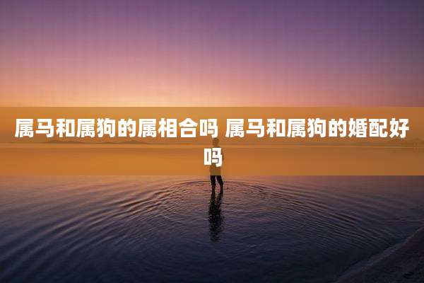 属马和属狗的属相合吗 属马和属狗的婚配好吗