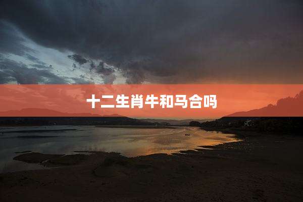十二生肖牛和马合吗