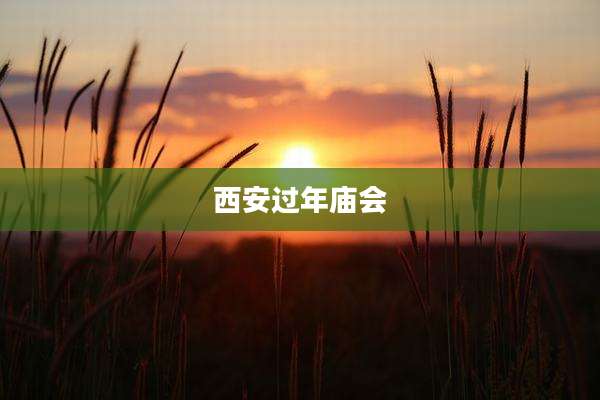西安过年庙会
