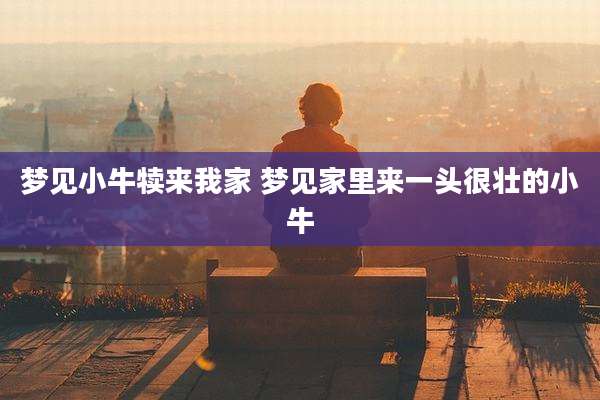 梦见小牛犊来我家 梦见家里来一头很壮的小牛
