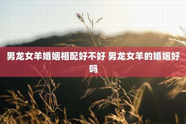 男龙女羊婚姻相配好不好 男龙女羊的婚姻好吗