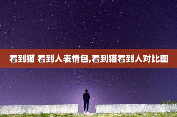 看到猫 看到人表情包,看到猫看到人对比图