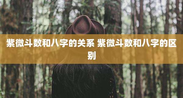 紫微斗数和八字的关系 紫微斗数和八字的区别