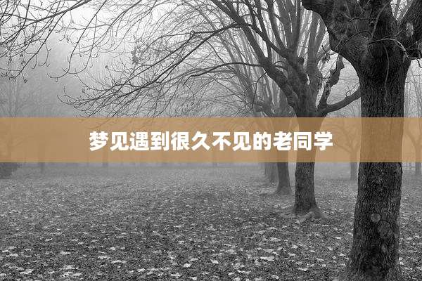 梦见遇到很久不见的老同学