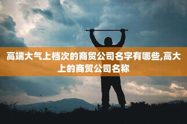 高端大气上档次的商贸公司名字有哪些,高大上的商贸公司名称