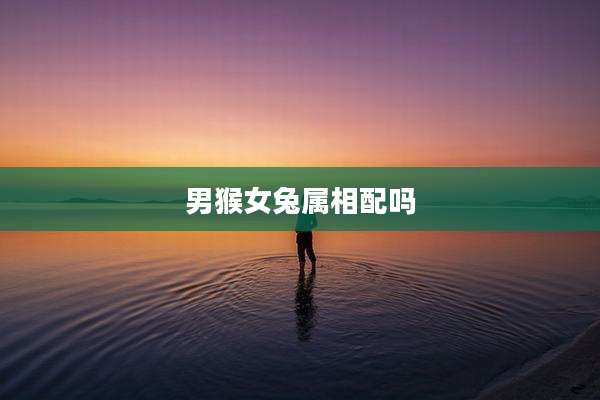 男猴女兔属相配吗