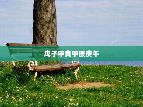 戊子甲寅甲辰庚午