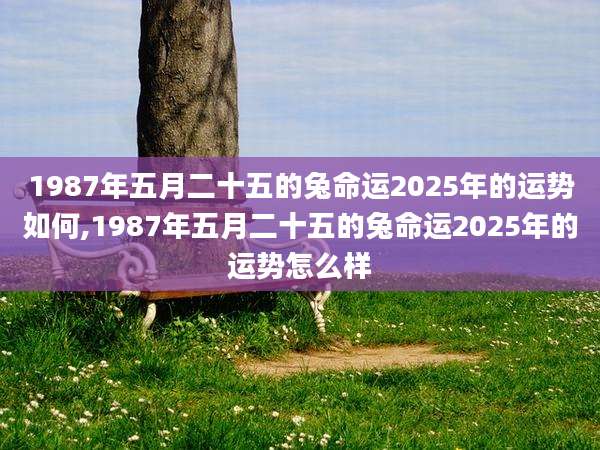 1987年五月二十五的兔命运2025年的运势如何,1987年五月二十五的兔命运2025年的运势怎么样