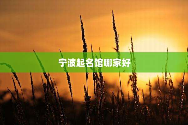宁波起名馆哪家好