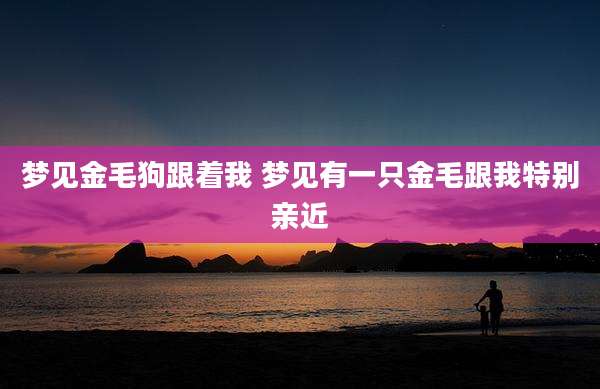梦见金毛狗跟着我 梦见有一只金毛跟我特别亲近