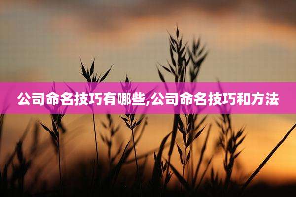 公司命名技巧有哪些,公司命名技巧和方法