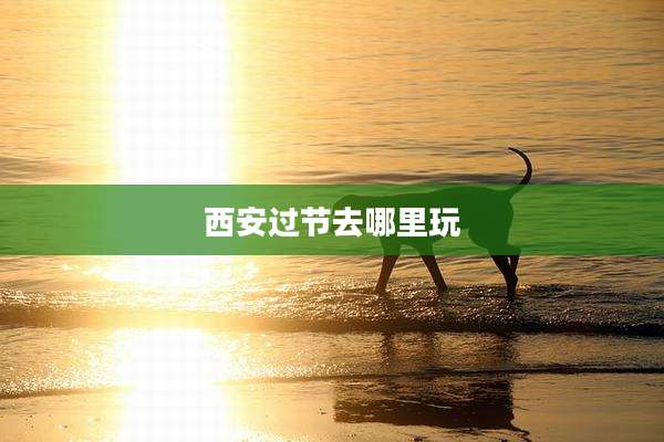 西安过节去哪里玩