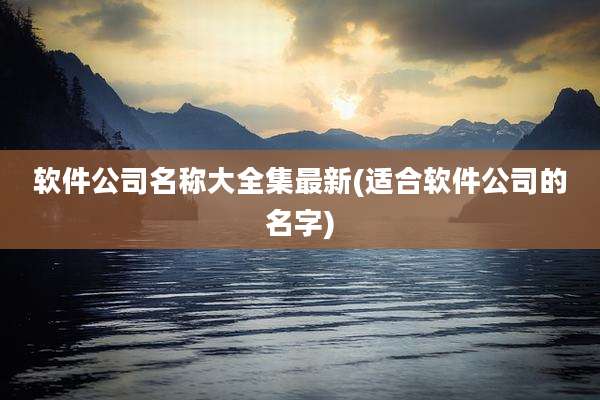 软件公司名称大全集最新(适合软件公司的名字)