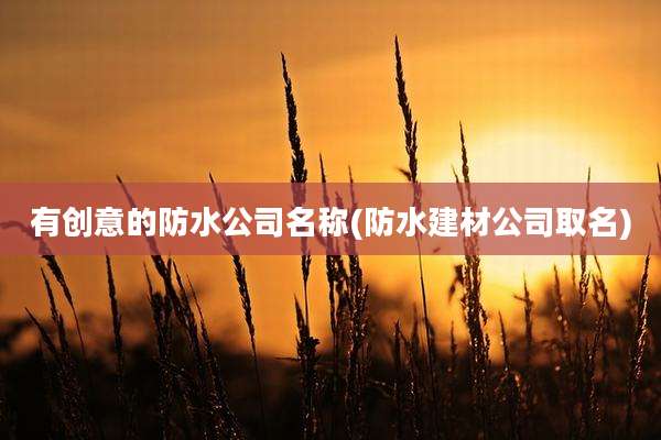 有创意的防水公司名称(防水建材公司取名)