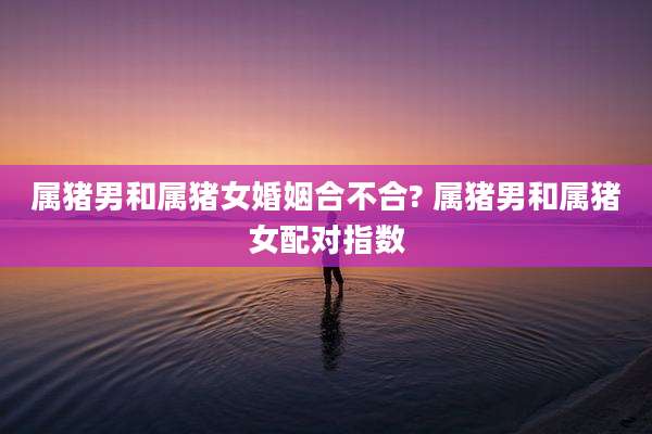 属猪男和属猪女婚姻合不合? 属猪男和属猪女配对指数