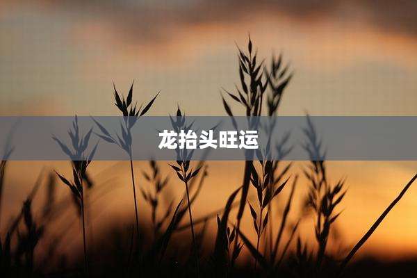 龙抬头旺运