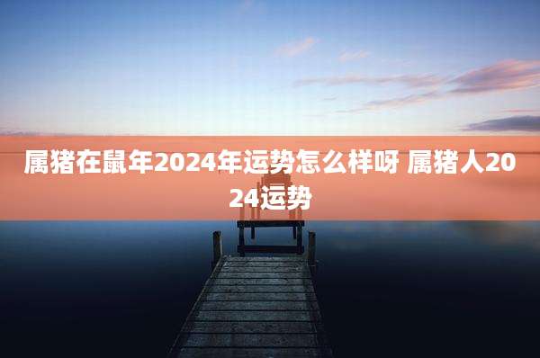 属猪在鼠年2024年运势怎么样呀 属猪人2024运势