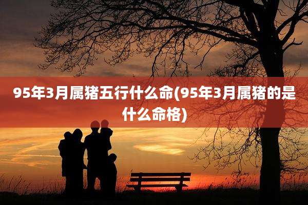 95年3月属猪五行什么命(95年3月属猪的是什么命格)