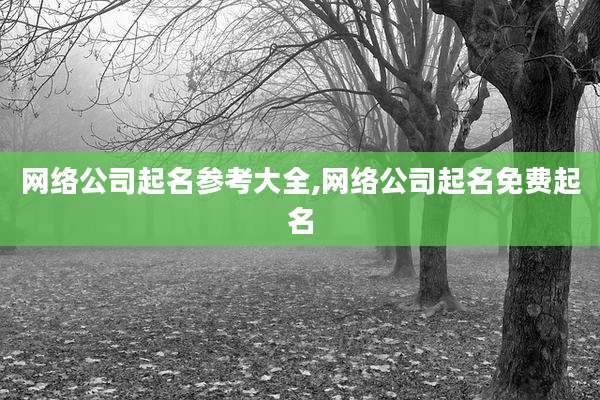 网络公司起名参考大全,网络公司起名免费起名
