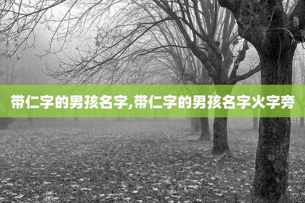 带仁字的男孩名字,带仁字的男孩名字火字旁