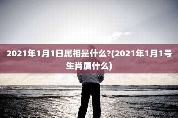 2021年1月1日属相是什么?(2021年1月1号生肖属什么)