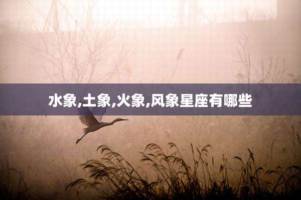 水象,土象,火象,风象星座有哪些