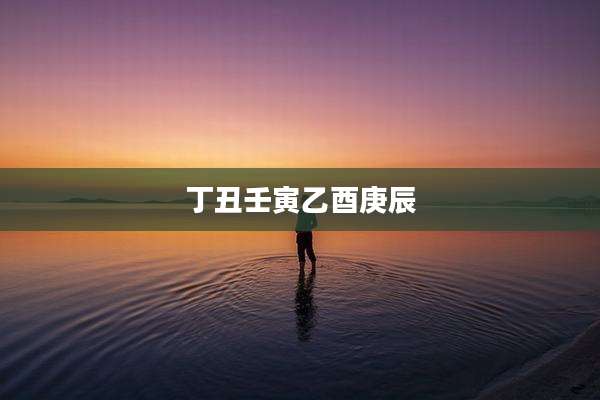 丁丑壬寅乙酉庚辰