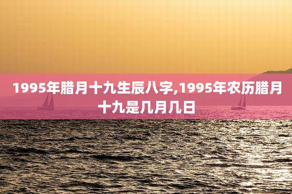 1995年腊月十九生辰八字,1995年农历腊月十九是几月几日