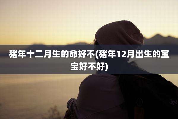 猪年十二月生的命好不(猪年12月出生的宝宝好不好)