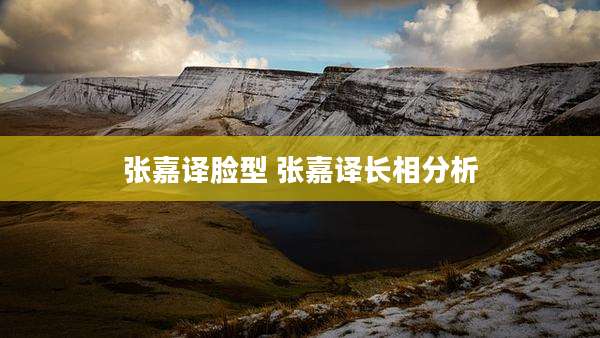 张嘉译脸型 张嘉译长相分析